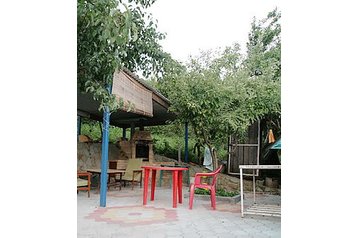 Русия Privát Шепси / Shepsi, Екстериор